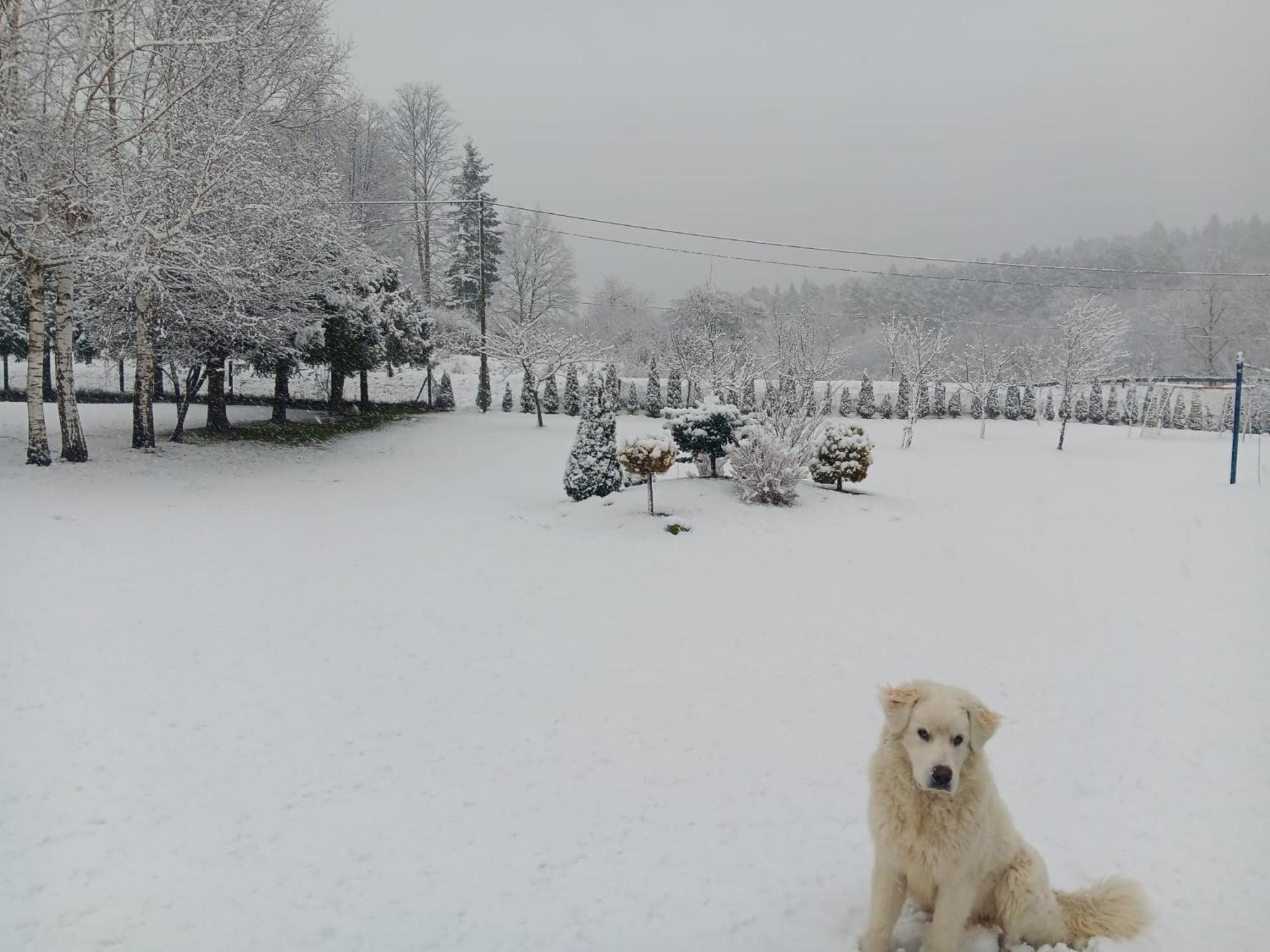 U Malgorzaty Villa Wojtkowa Exteriör bild